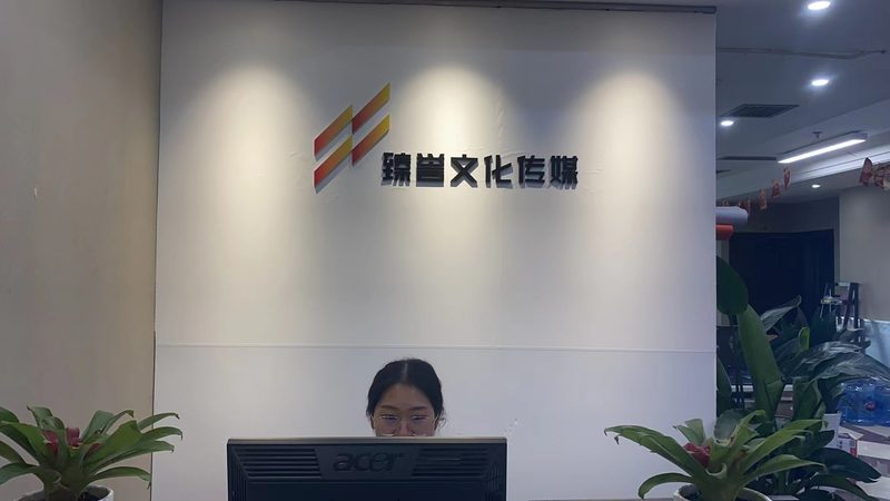 mg动画手绘风制作：揭秘创意视觉呈现的秘密**